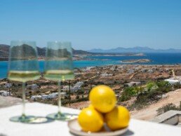 Ποτήρια και λεμόνια με θέα στη θάλασσα, Vacation House in Antiparos